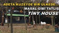 ADETA KUZEYDE BİR ÜLKEDE, MASAL GİBİ TATLIŞ BİR TİNY HOUSE