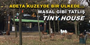 ADETA KUZEYDE BİR ÜLKEDE, MASAL GİBİ TATLIŞ BİR TİNY HOUSE