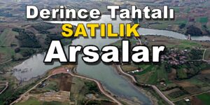 Derince Tahtalı Köyü Satılık Tarla Arsa Tahtalı Göleti Mevki