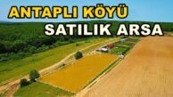 Kandıra ANTAPLI SATILIK ARSA Antaplı Köyü 2.276 M2