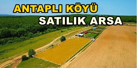 Kandıra ANTAPLI SATILIK ARSA Antaplı Köyü 2.276 M2