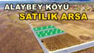 Kandıra ALAYBEY SATILIK Arsa Tarla Alaybey Köyü