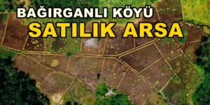 Kandıra BAĞIRGANLI Satılık Arsa Tarla Fiyatları Bağırganlı Köyü