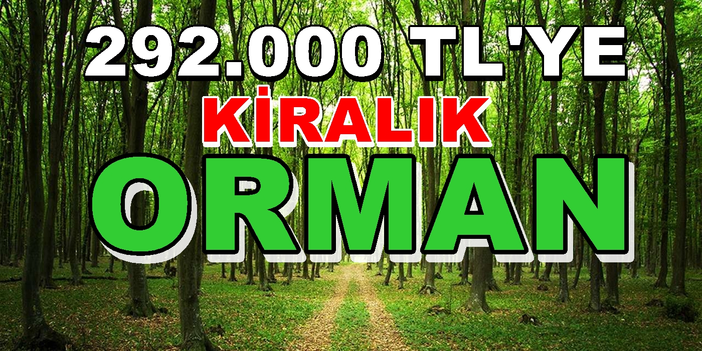 292.000 TL’YE 20 YILLIĞINA KİRALIK ORMAN