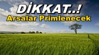 2023 Arsa Tarla Fiyatları Ne Olur? Arsa Fiyatları Artar Mı?