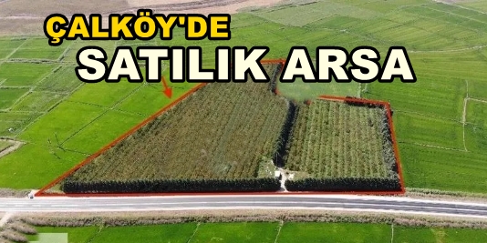 Kandıra ÇALKÖY Satılık Arsa Tarla 6.124 M2 SATILIK ARSA