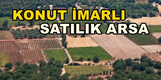 Kandıra HACIMAZLI KÖYÜ Satılık Arsa Tarla KONUT İMARLI ARSA