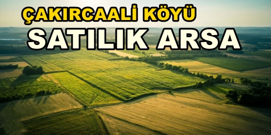 Kandıra ÇAKIRCAALİ KÖYÜ Satılık Arsa Tarla Sahibinden İlanlar