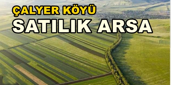 Kandıra ÇALYER KÖYÜNDE SATILIK ARSA Tarla