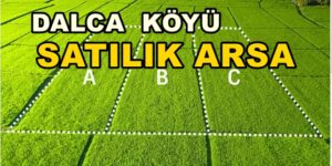 Kandıra DALCA KÖYÜ SATILIK Arsa TARLA Dalca Köyünde