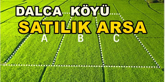 Kandıra DALCA KÖYÜ SATILIK Arsa TARLA Dalca Köyünde