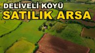 Kandıra DELİVELİ KÖYÜ SATILIK Arsa Tarla 1.286 m²