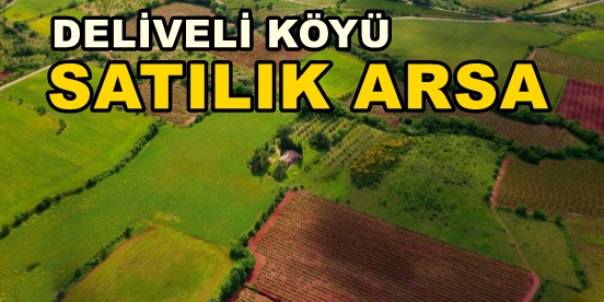 Kandıra DELİVELİ KÖYÜ SATILIK Arsa Tarla 1.286 m²