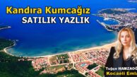 Kandıra Kumcağız Berk Sitesi Satılık Yazlık Ev Kurtyeri