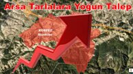 Körfez Sipahiler Köyü Satılık Arsa Tarlalara Yoğun Talep