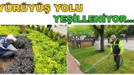 Yürüyüş Yolu Cumhuriyet Bulvarı’na Yeşillendirme Çalışması