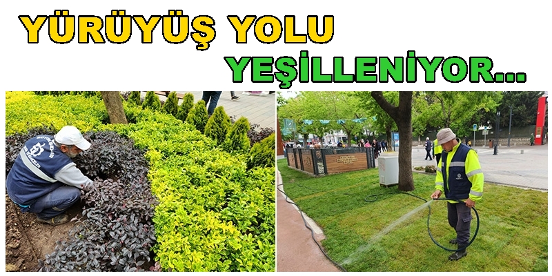 Yürüyüş Yolu Cumhuriyet Bulvarı’na Yeşillendirme Çalışması