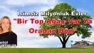 İsimsiz Milyonluk Evler “Bir Top Ağaç Var Ya Oradan Dön”