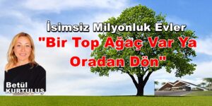 İsimsiz Milyonluk Evler “Bir Top Ağaç Var Ya Oradan Dön”