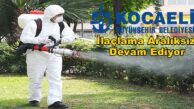 Kocaeli’de Bayramda İlaçlama Çalışmaları Aralıksız Sürüyor!