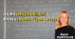 DERS: Hayat Bilgisi KONU: Konut Fiyat Artışı Betül Kurtuluş