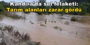 Kandıra’da sel felaketi: Tarım alanları zarar gördü