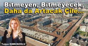 Bitmeyen, Bitmeyecek, Daha da Artacak Çile…