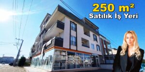 Kartepe Fatih Sultan Mehmet Mahallesi 250 m² Satılık İş Yeri