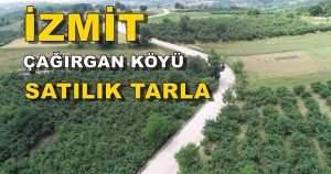 18 Dönüm İzmit Çağırgan Köyü Satılık Arsa Tarla 5 Milyon TL 