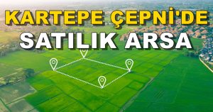 2.000 m² Kartepe Çepni Mahallesi Satılık Arsa (Satılık Arsa) 