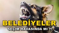 Belediyeler Seçim Havasında, Bağçeşmeliler Tehdit Altında !