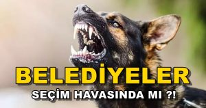 Belediyeler Seçim Havasında, Bağçeşmeliler Tehdit Altında !