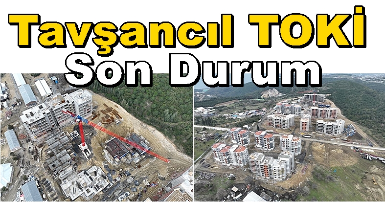 Dilovası Tavşancıl TOKİ Kentsel Dönüşüm Son Durum: Tam Gaz!