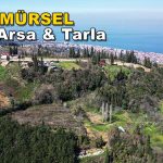 4.901 m² Karamürsel Pazarköy Satılık Arsa-Tarla