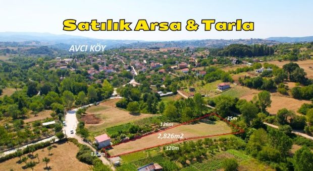 Karamürsel Avcıköy Mh. Satılık 2.826 m² Tarla & Arsa