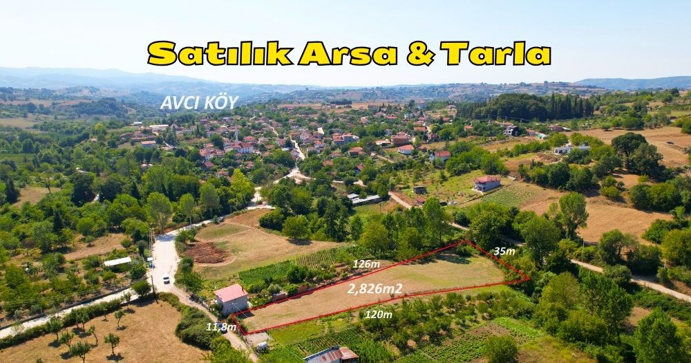 Karamürsel Avcıköy Mh. Satılık 2.826 m² Tarla & Arsa