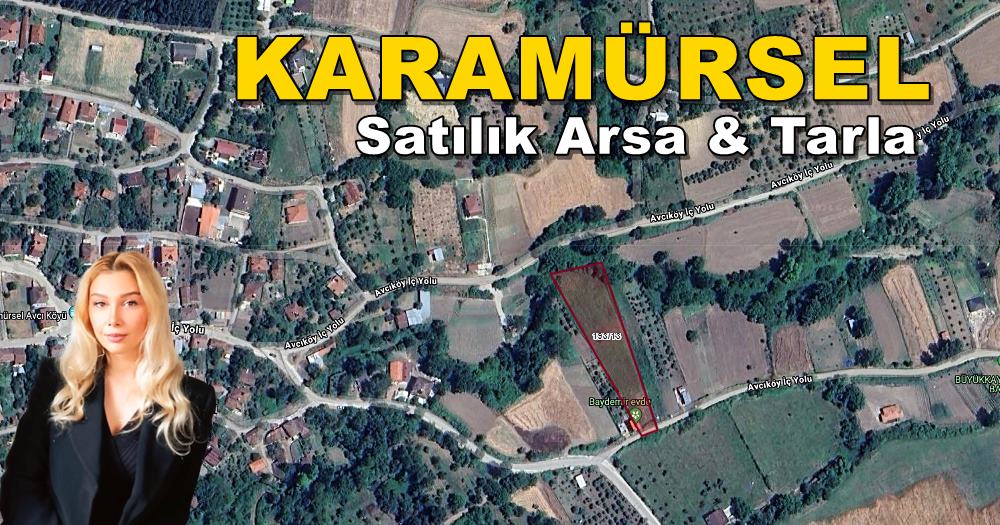 Karamürsel Avcıköy Mh. Satılık 2.826 m² Tarla & Arsa