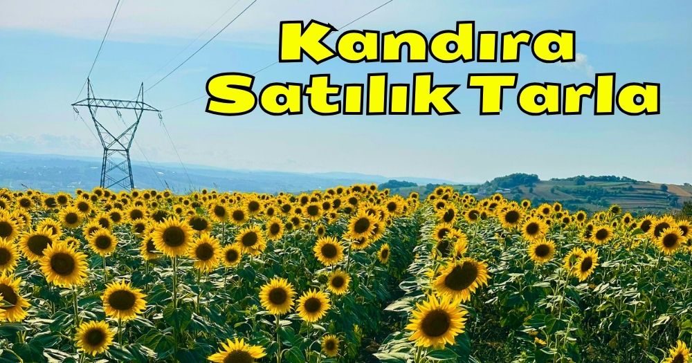 Kocaeli Kandıra Bozburun Mahallesi Satılık Tarla & Arsa