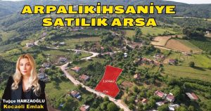 İzmit Arpalıkihsaniye Köyü 2.636 m² %40 Köy İçi İmarlı Arsa