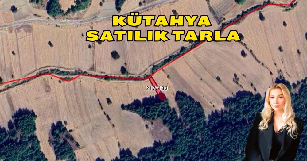 Kütahya Gediz Kayacık Köyü 550 m² Satılık Tarla