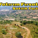 Karamürsel Avcıköy’de Yatırım Fırsatı: 3.641 m² Satılık Tarla