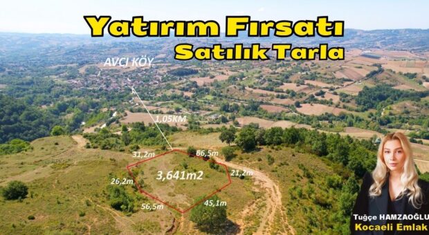 Karamürsel Avcıköy’de Yatırım Fırsatı: 3.641 m² Satılık Tarla